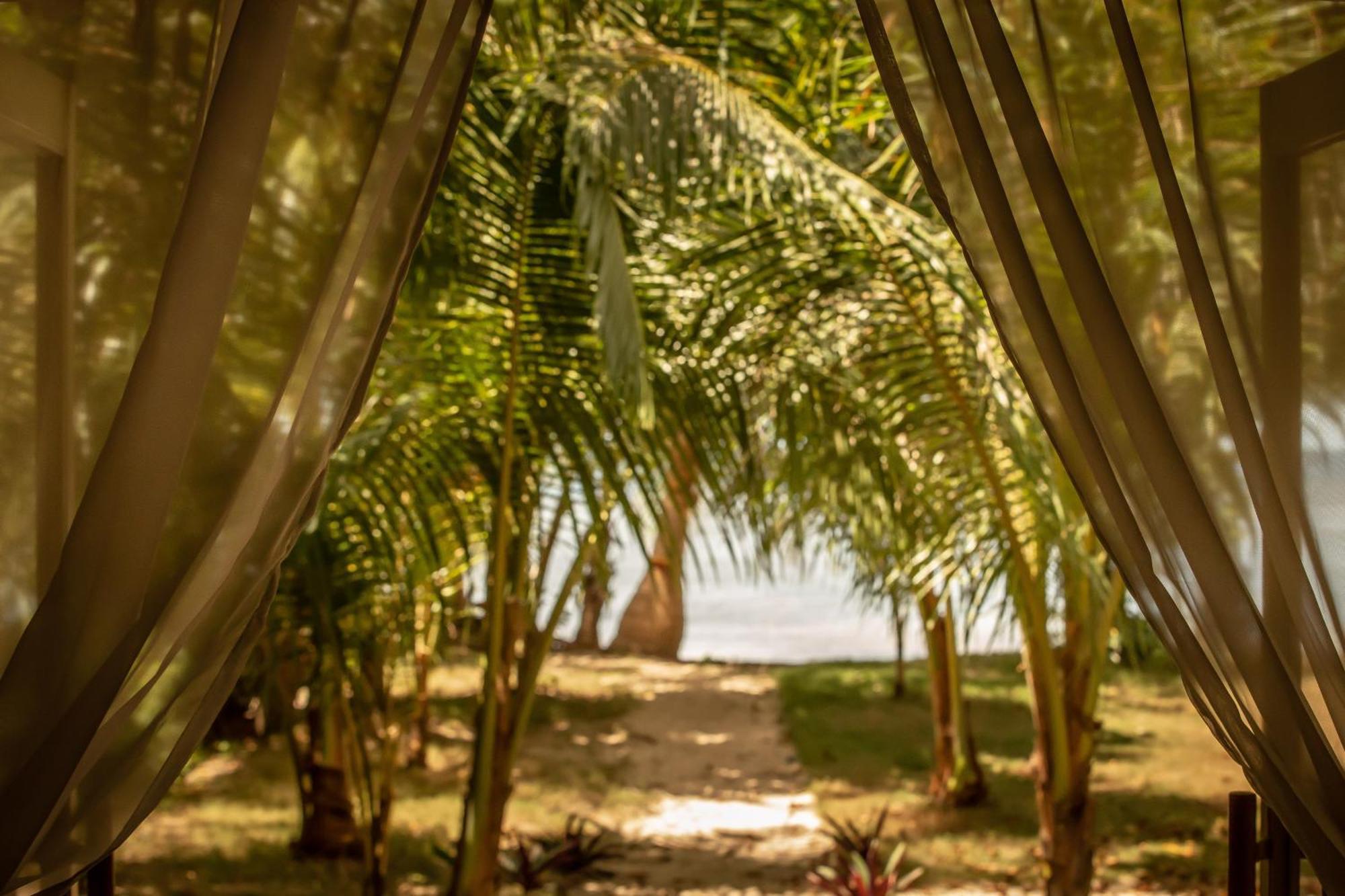 The Beach House Ocam Ocam Busuanga Esterno foto
